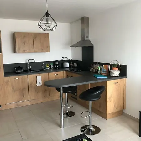 Appart. Sur Avec Garage Et Wifi. 凯恩