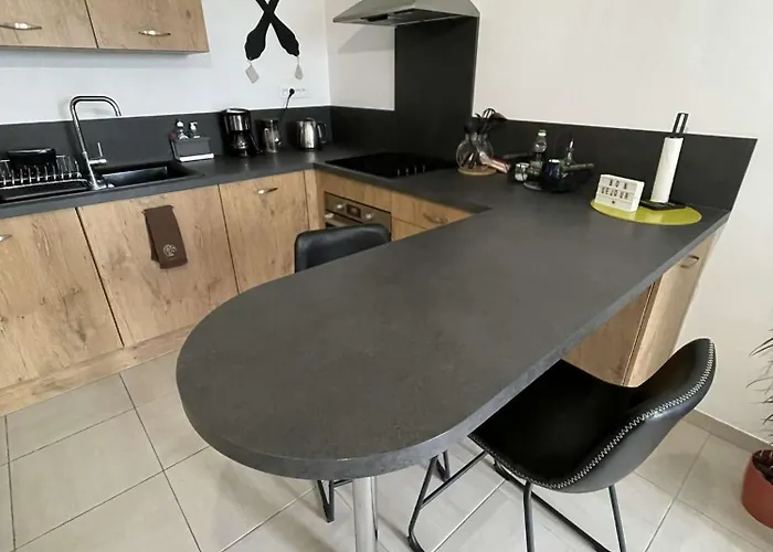 Appart. Sur Avec Garage Et Wifi. アパート