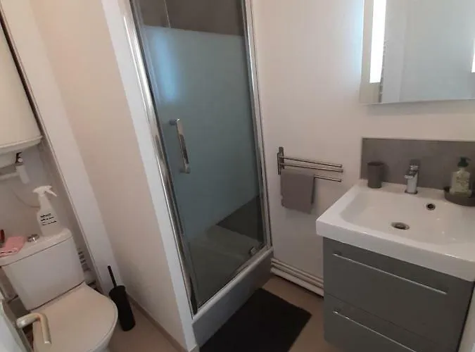 Appart. Sur Avec Garage Et Wifi. アパート